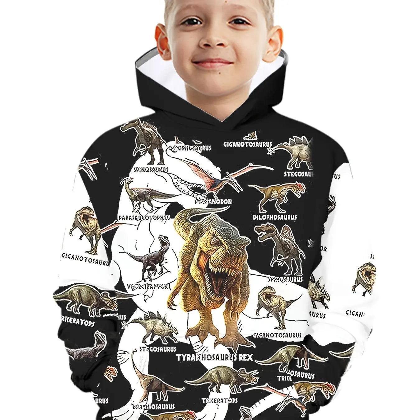 https://alittledisandat.com › products › 3d-dinosaur-kids-hoodie-trendy-long-sleeve-top1725992625350 variants11