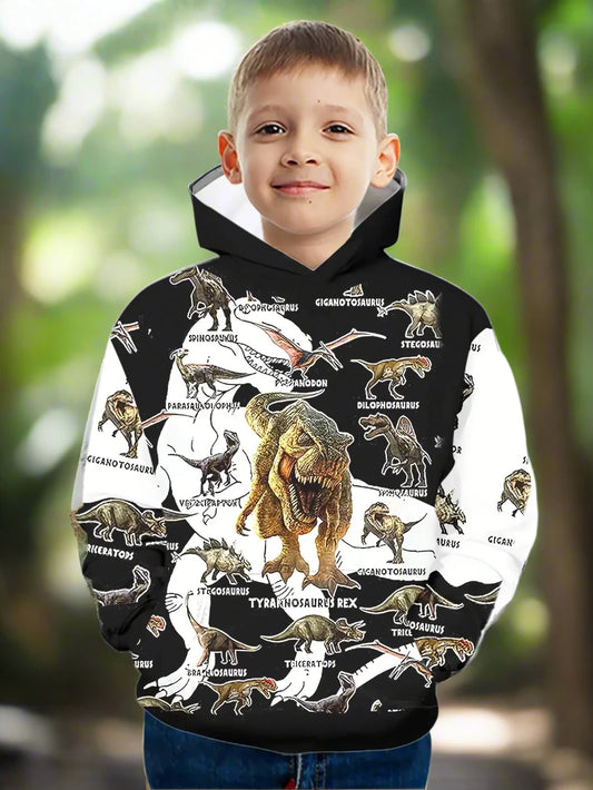 https://alittledisandat.com › products › 3d-dinosaur-kids-hoodie-trendy-long-sleeve-top1725992625350 image1