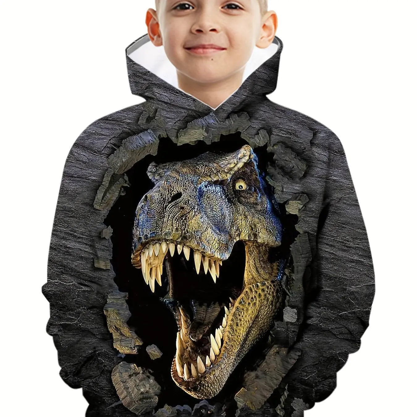 https://alittledisandat.com › products › 3d-dinosaur-kids-hoodie-trendy-long-sleeve-top1725992625350 variants10